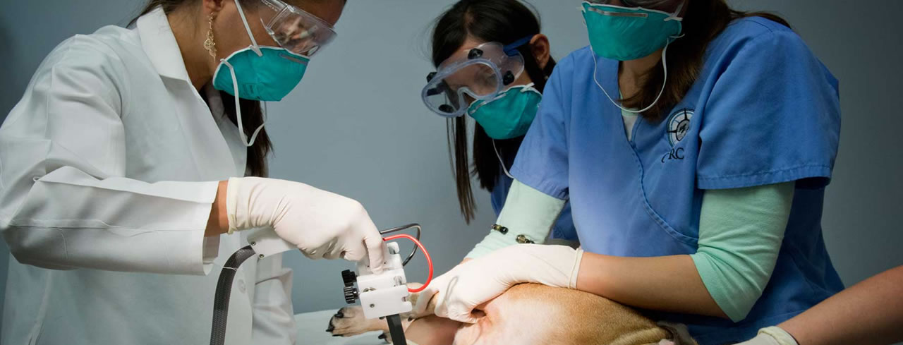 Image hover effect image