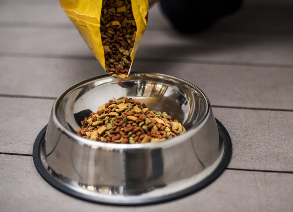 Ração sendo colocada em pote, representando Nutrição no tratamento de câncer em pets.