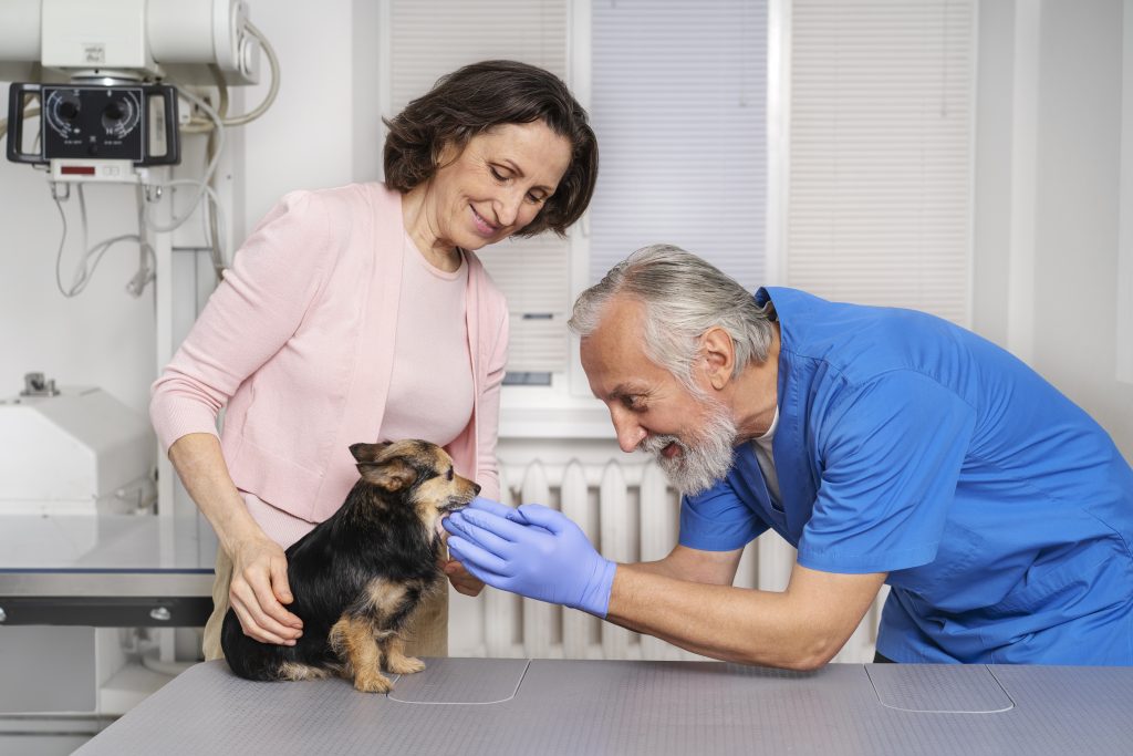 Odontologia veterinária preventiva com um veterinário cuidando de um pequeno cachorro.