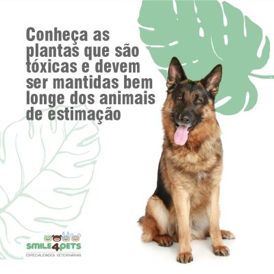 IMG-20210423-WA0064