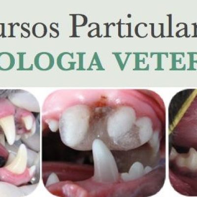 cursos_particulares 2