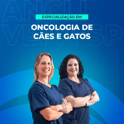odonto
